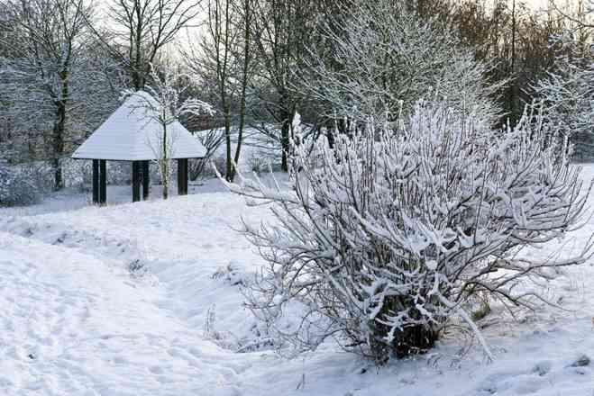 20091221Kleingarten162Ak